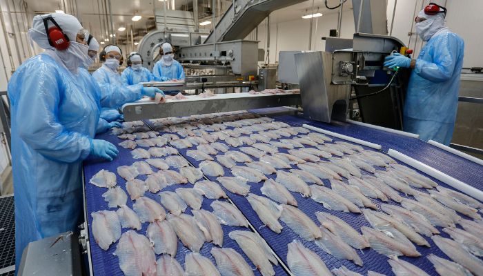  Quaresma de 2026 terá tilápia mais barata para os paranaenses, aponta Deral 